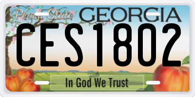 GA license plate CES1802