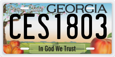 GA license plate CES1803