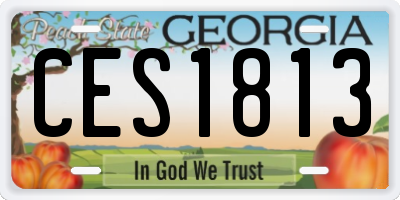 GA license plate CES1813