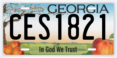 GA license plate CES1821