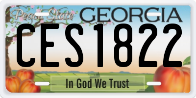 GA license plate CES1822