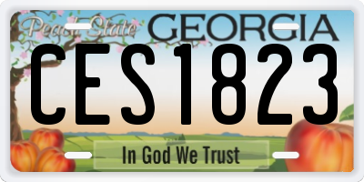 GA license plate CES1823