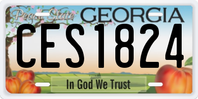 GA license plate CES1824