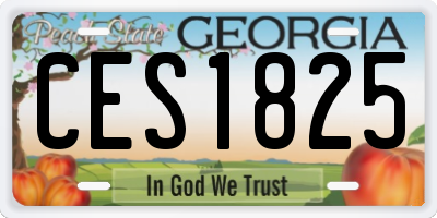 GA license plate CES1825