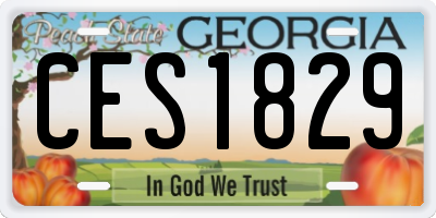 GA license plate CES1829