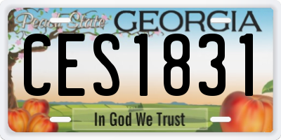 GA license plate CES1831