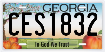GA license plate CES1832