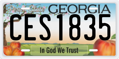 GA license plate CES1835