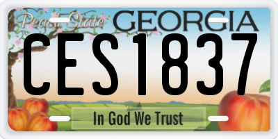 GA license plate CES1837
