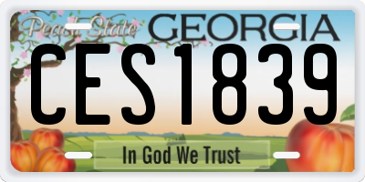GA license plate CES1839