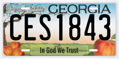 GA license plate CES1843