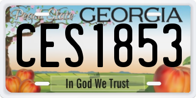 GA license plate CES1853