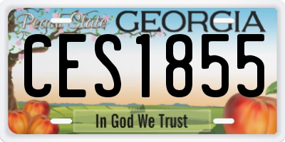 GA license plate CES1855