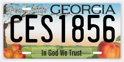 GA license plate CES1856