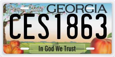 GA license plate CES1863