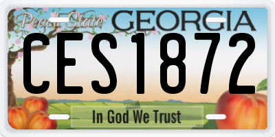 GA license plate CES1872