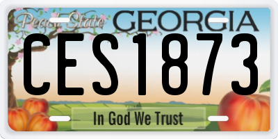 GA license plate CES1873