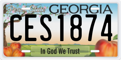 GA license plate CES1874