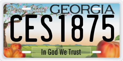 GA license plate CES1875