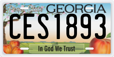 GA license plate CES1893