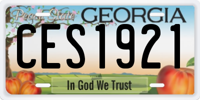 GA license plate CES1921