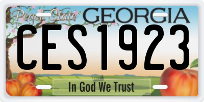 GA license plate CES1923