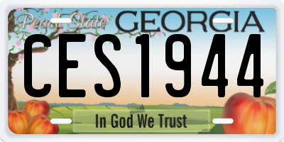 GA license plate CES1944