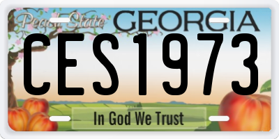 GA license plate CES1973