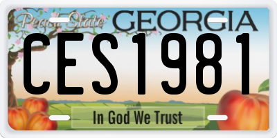 GA license plate CES1981