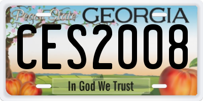 GA license plate CES2008
