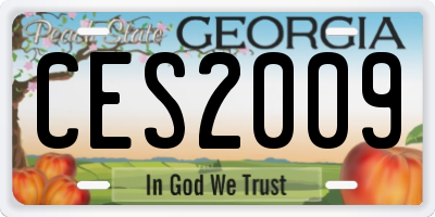 GA license plate CES2009