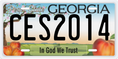 GA license plate CES2014