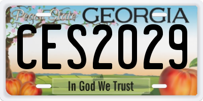 GA license plate CES2029