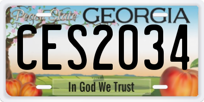 GA license plate CES2034