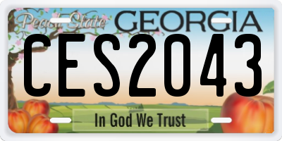 GA license plate CES2043