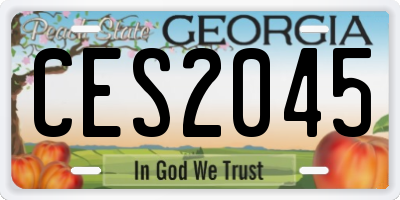 GA license plate CES2045