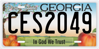 GA license plate CES2049