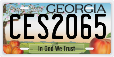 GA license plate CES2065
