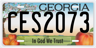 GA license plate CES2073