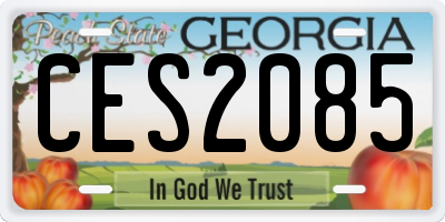 GA license plate CES2085