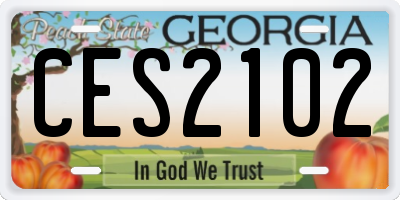 GA license plate CES2102