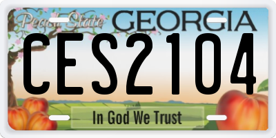 GA license plate CES2104