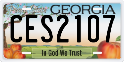 GA license plate CES2107