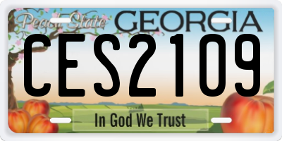 GA license plate CES2109
