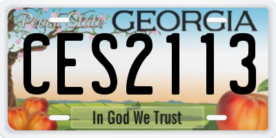 GA license plate CES2113