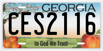GA license plate CES2116