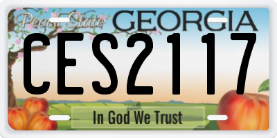 GA license plate CES2117