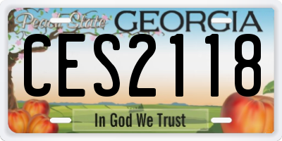 GA license plate CES2118