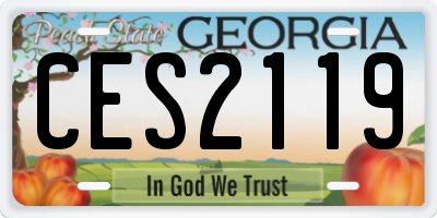 GA license plate CES2119