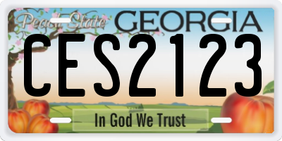 GA license plate CES2123